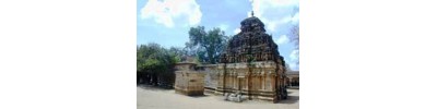 திருவேங்கைவாசல்